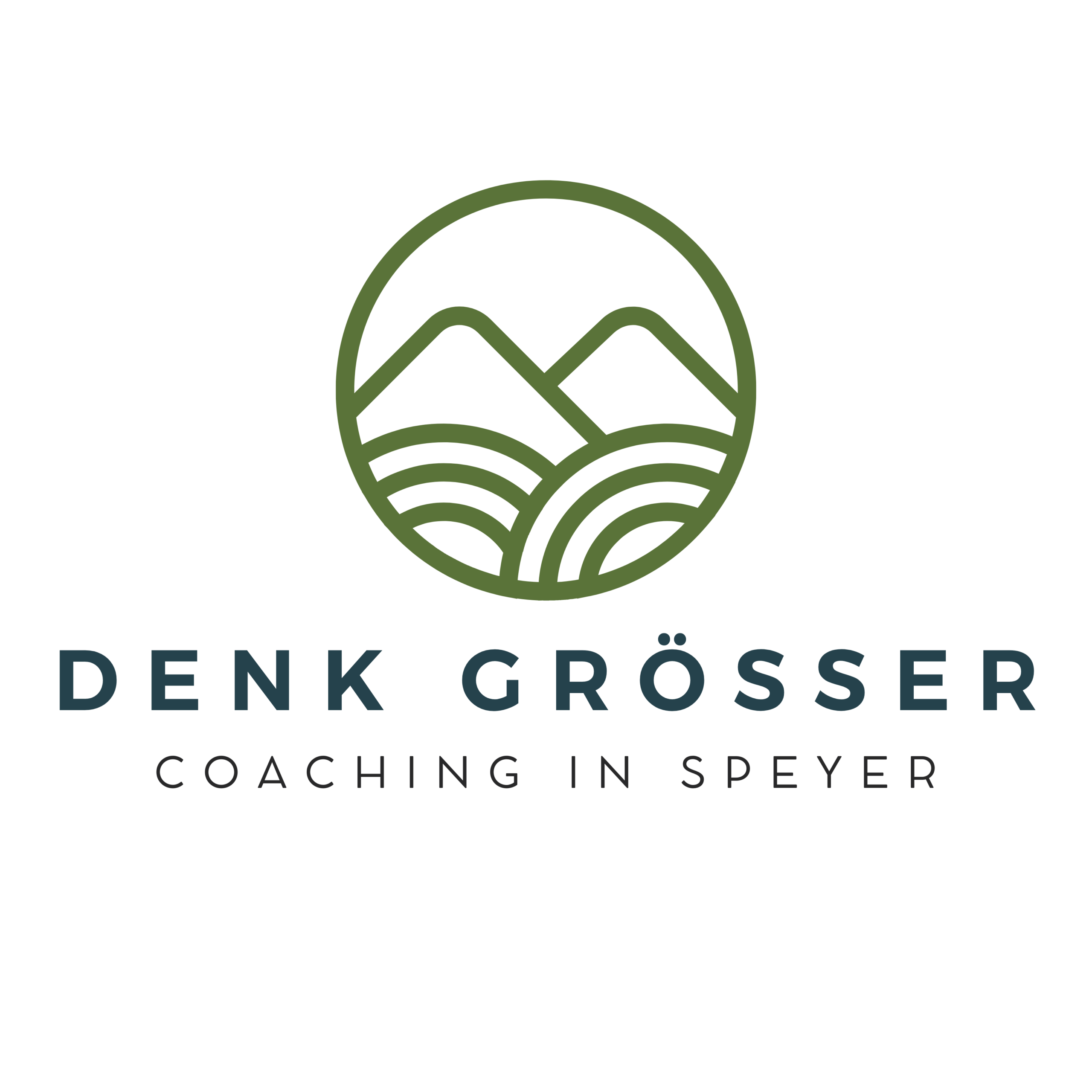 Denk Grösser